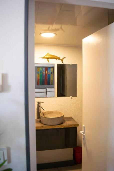 Le Flamboyant Apartment Saint-Gilles Les Bains Exterior photo